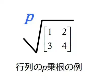 行列p乗根